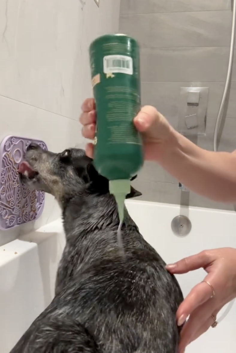 Owner Shares 4 Genius Grooming Hacks You’ll Wish You Knew Sooner